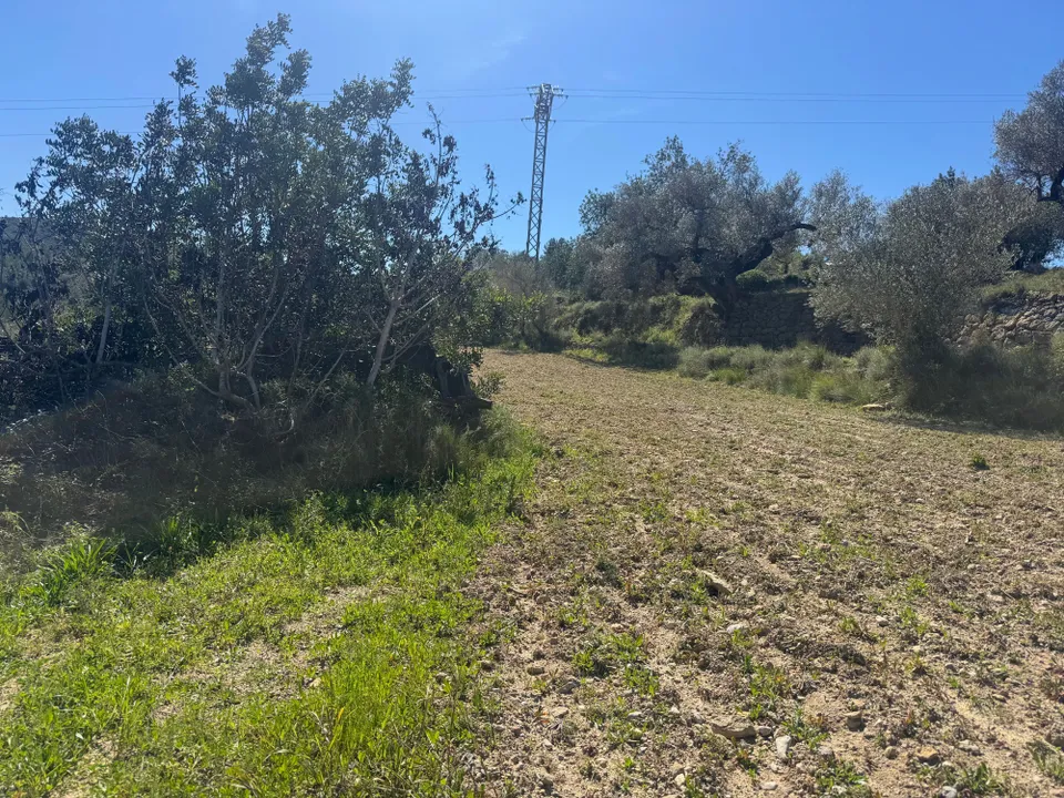 Terreno en Cervera Del Maestre, Castellon - foto 2